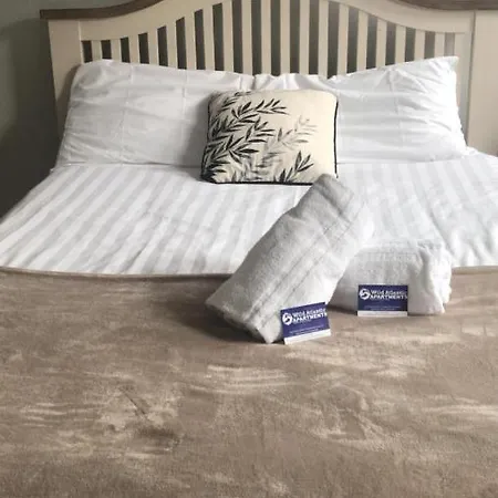 Cheap Budget Apartment *