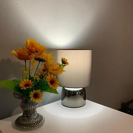 Cheap Budget Apartment