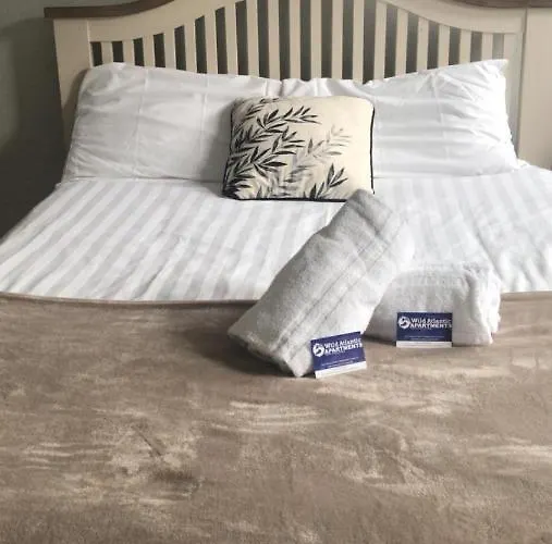 Cheap Budget Lejlighed *